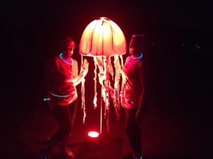 RFK Electric Run 2014